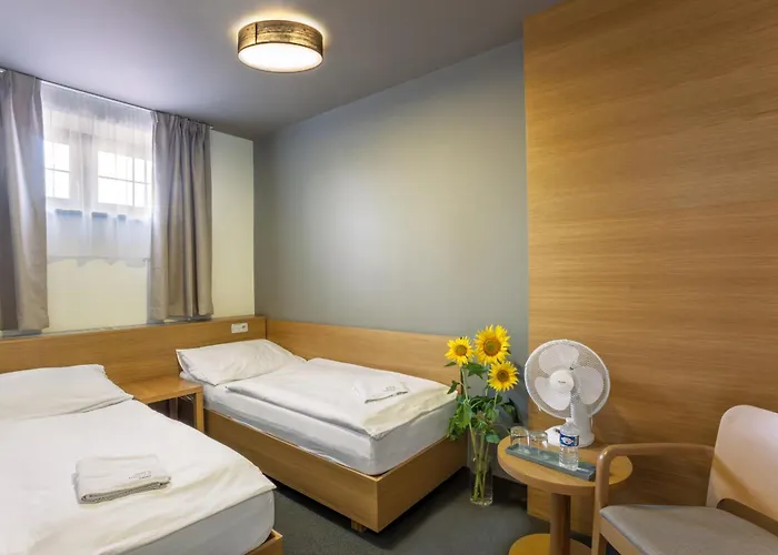 Lidovy Dum Hotel 3*